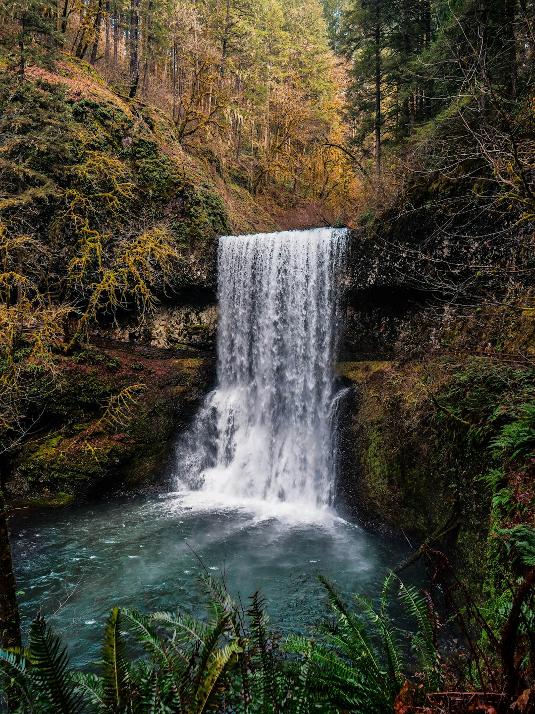 Had a three day weekend so I went out to Salem with a few friends to explore the Silver Falls State Park, which did not disappoint. Snapped a few pics, and this one really turned out.